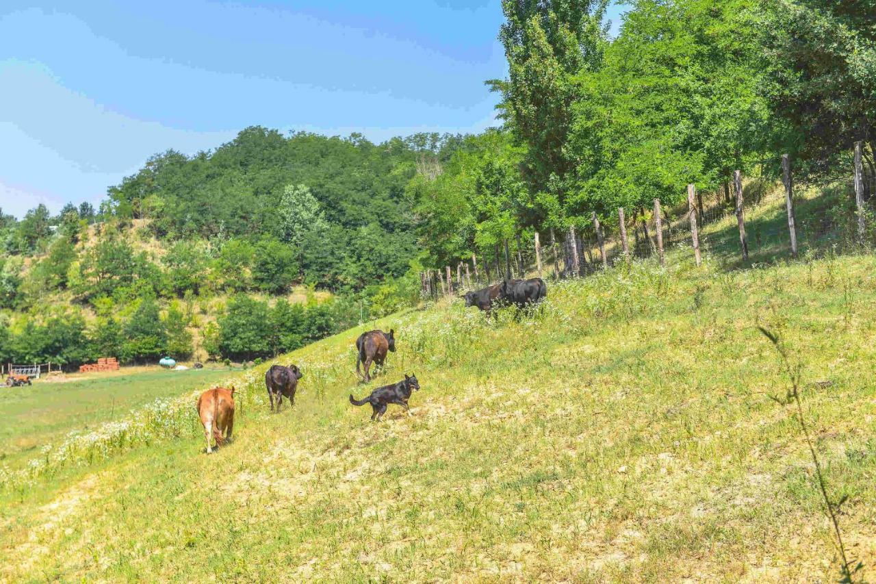 فيلا آستيفي Cascina Lissona المظهر الخارجي الصورة
